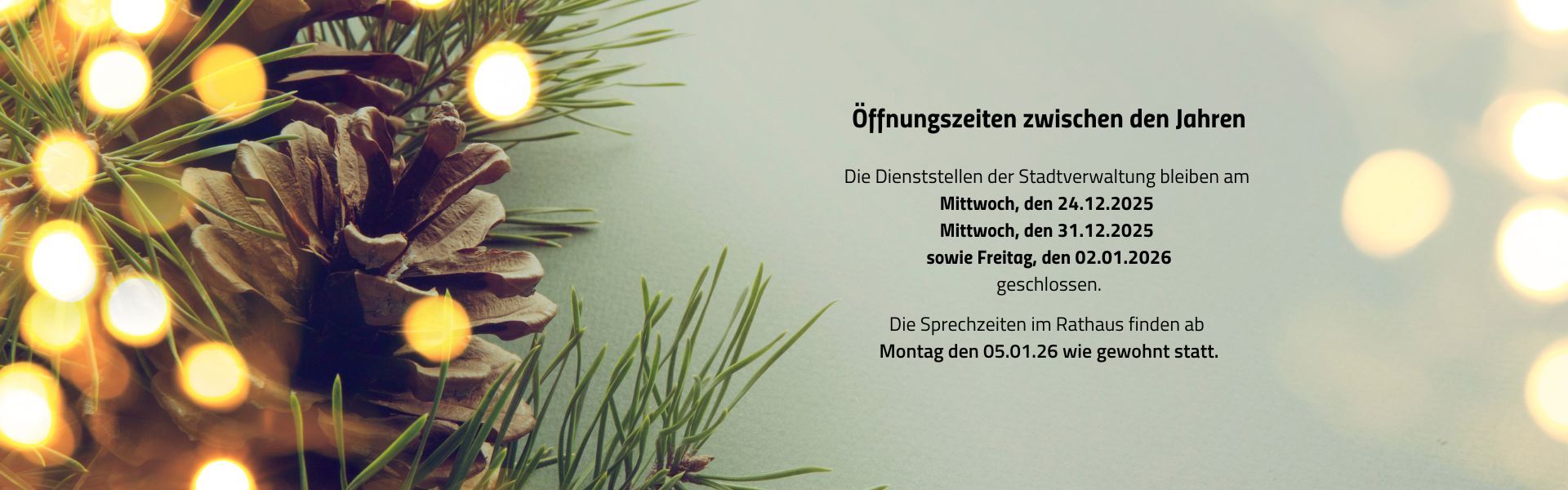 Header Stellenangebote (1920 x 600 px) (1920 x 600 px) - Rathaus_zw.Jahren