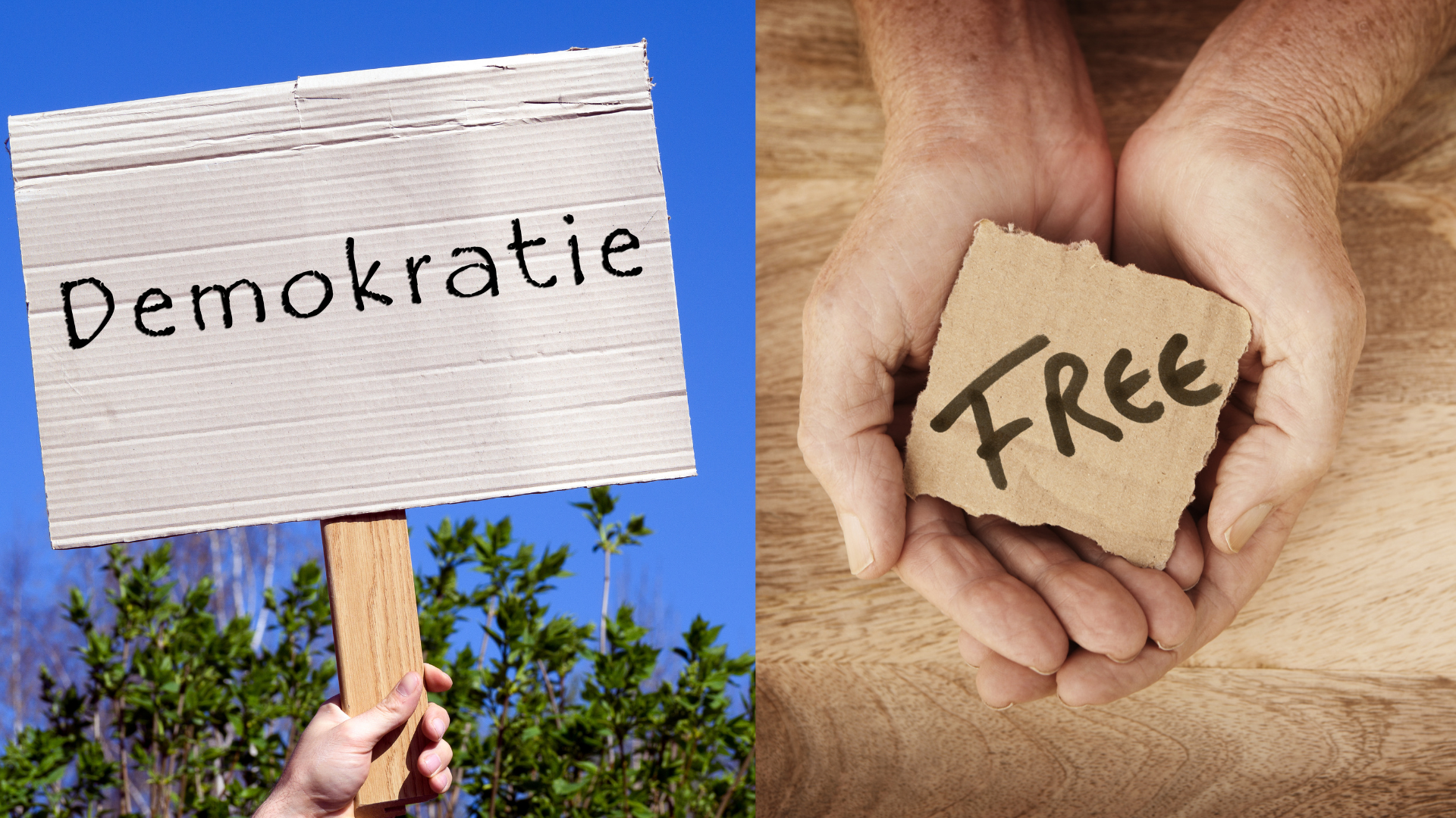 Design ohne Titel - 4