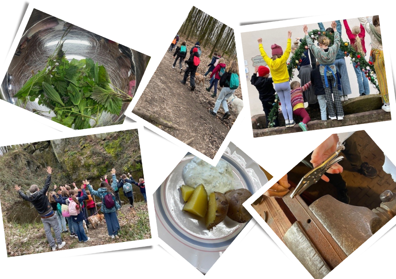 Design ohne Titel - 1